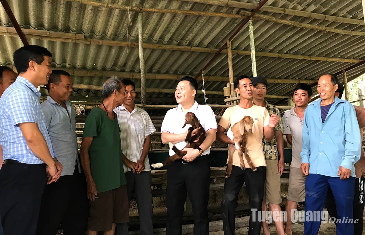 10 hộ dân là đồng bào dân tộc thiểu số xã Trung Minh được học kỹ thuật chăn nuôi dê