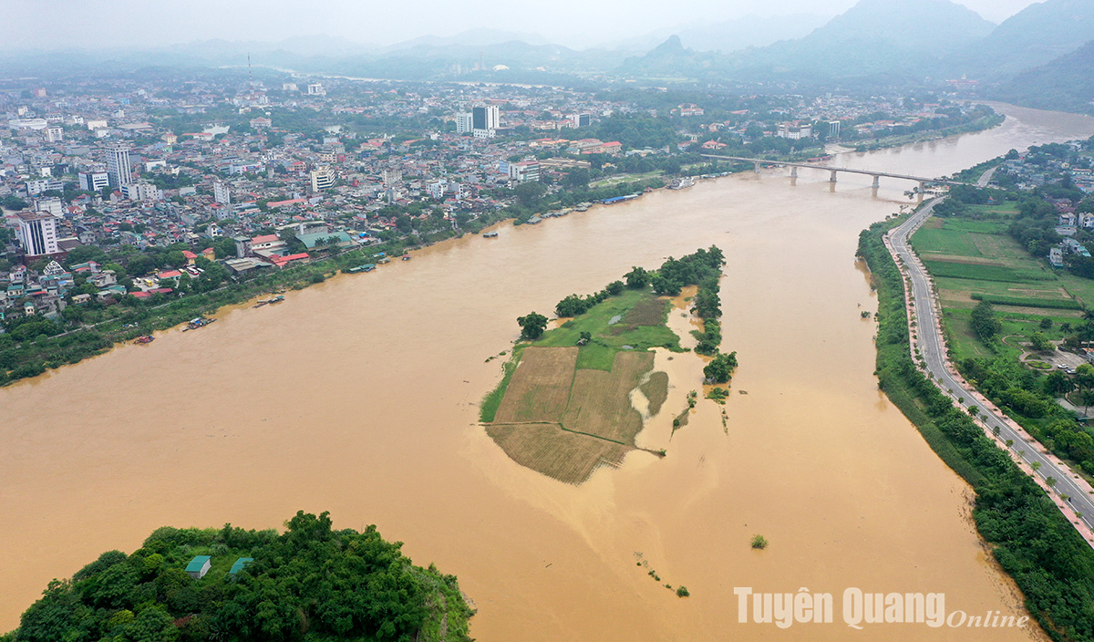 Tập trung ứng phó nguy cơ mưa lớn, sạt lở đất, lũ quét và chủ động phòng chống thiên tai