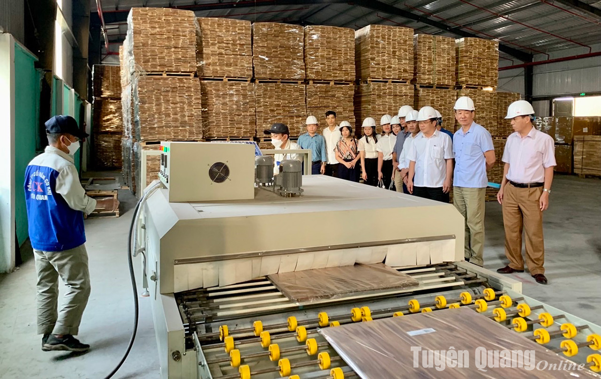 Tạo đà công nghiệp nông thôn phát triển