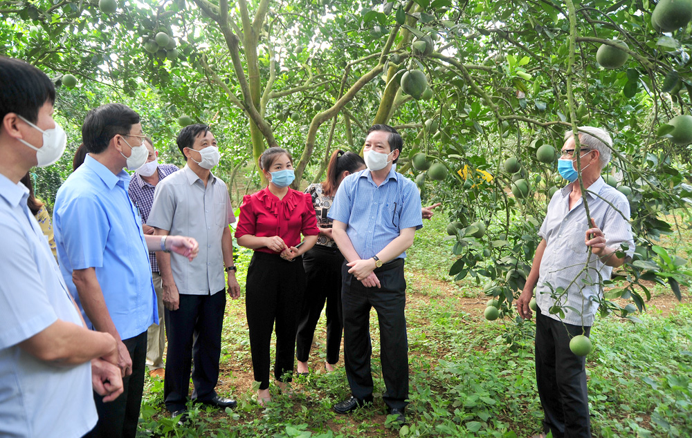 Đoàn công tác Ban Chỉ đạo Trung ương về nông nghiệp, nông dân, nông thôn thăm và làm việc tại xã Phúc Ninh