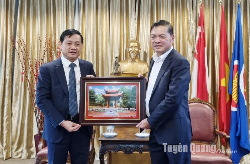 Đoàn công tác tỉnh Tuyên Quang làm việc với Đại sứ quán Việt Nam tại Singapore