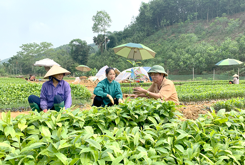 NGƯỜI "ƯƠM MẦM" CHO NHỮNG CÁNH RỪNG CHIÊM HÓA