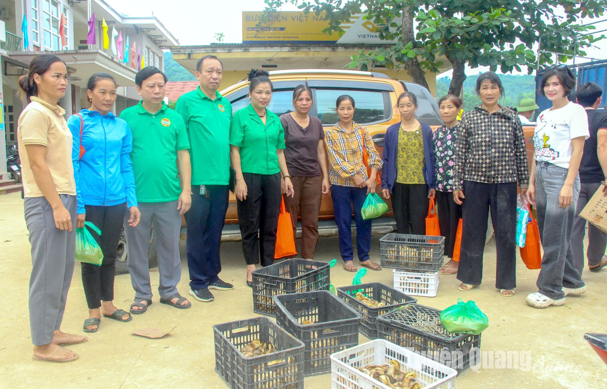 Hỗ trợ 5.000 con gà giống cho nông dân xã Hùng Lợi, Linh Phú