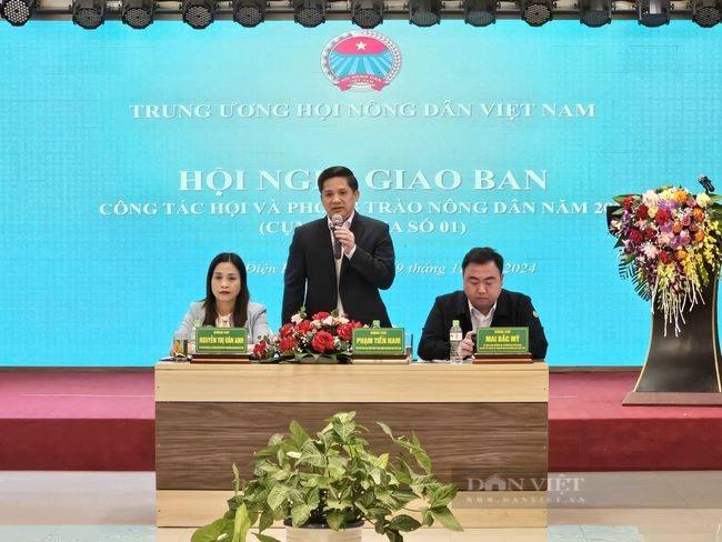 Phó Chủ tịch Hội NDVN Phạm Tiến Nam chủ trì hội nghị giao ban công tác Hội, phong trào ND, cụm thi đua số 1