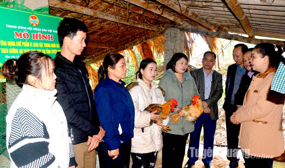 Tổng kết Dự án “Ứng dụng chế phẩm vi sinh vật trong nuôi gà thịt theo hướng an toàn sinh học" tại xã Hùng Lợi