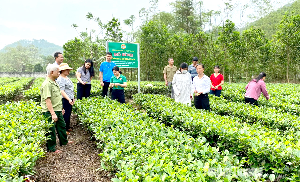 Nông dân Sơn Dương góp sức xây dựng nông thôn mới