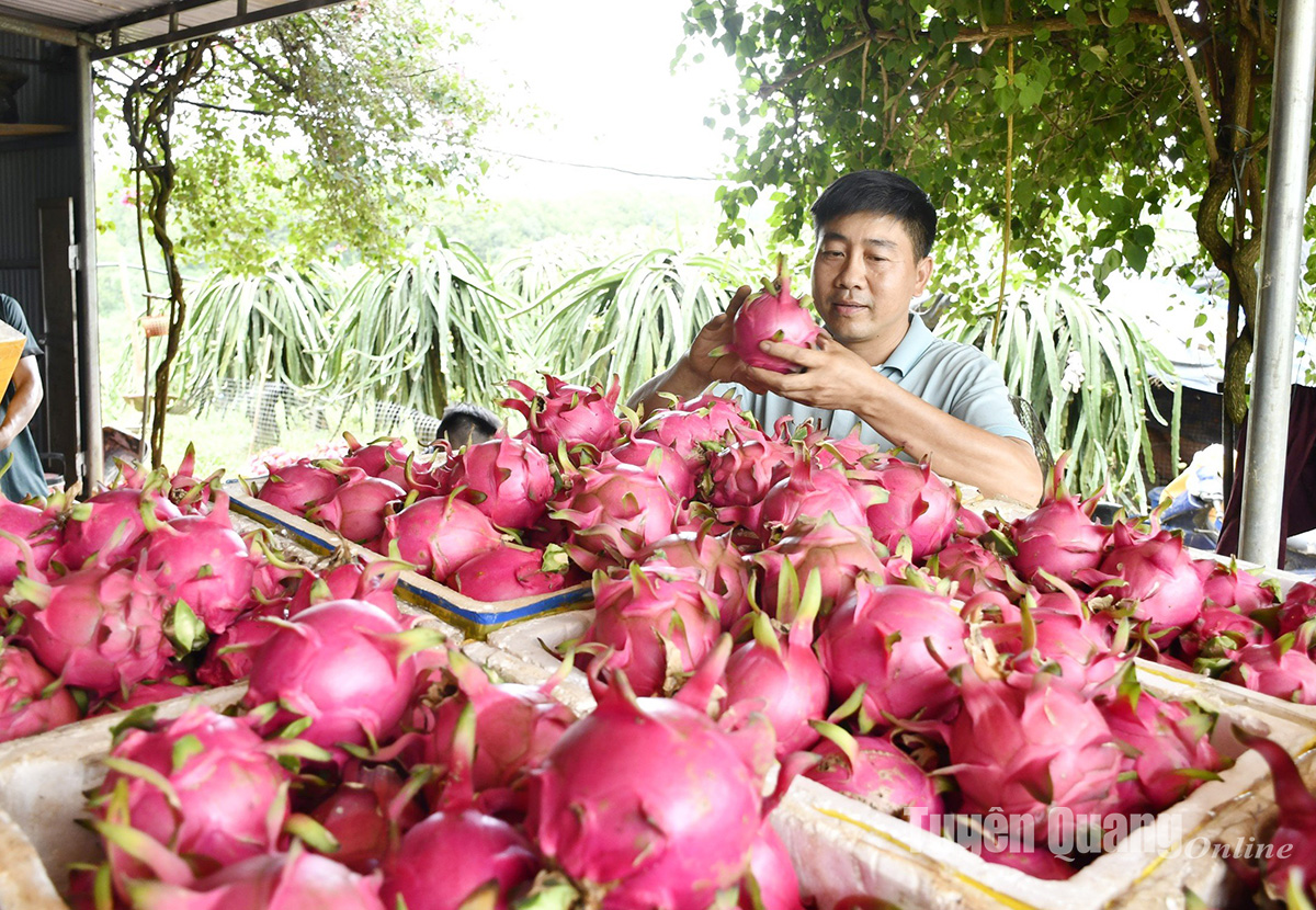 Con đường riêng của tỷ phú thanh long