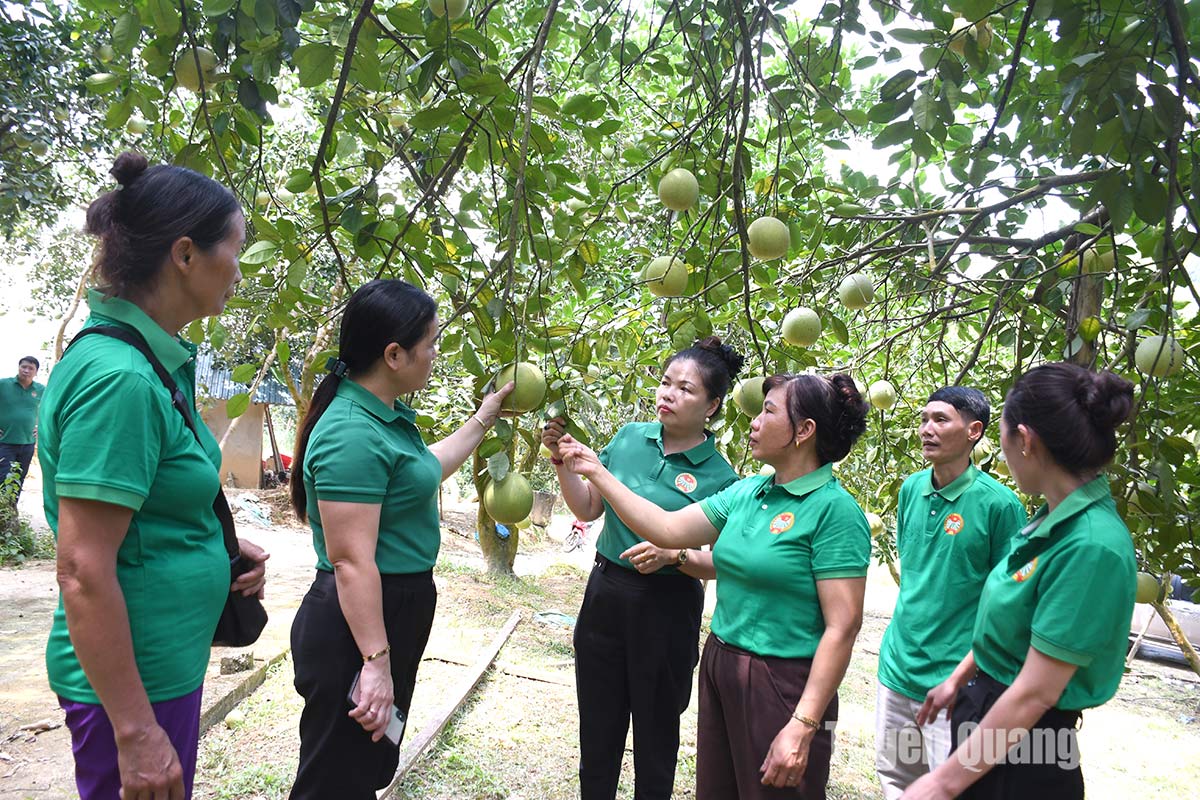 Đồng hành xây dựng nông thôn mới