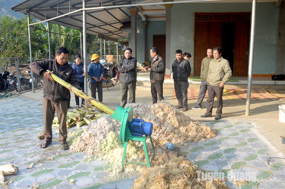 Thúc đẩy sản xuất, sử dụng phân bón hữu cơ: Vì một nền nông nghiệp bền vững