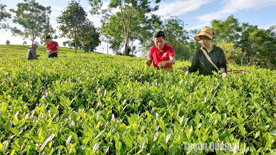 Agribank cho vay trả nợ ngân hàng khác với lãi suất ưu đãi