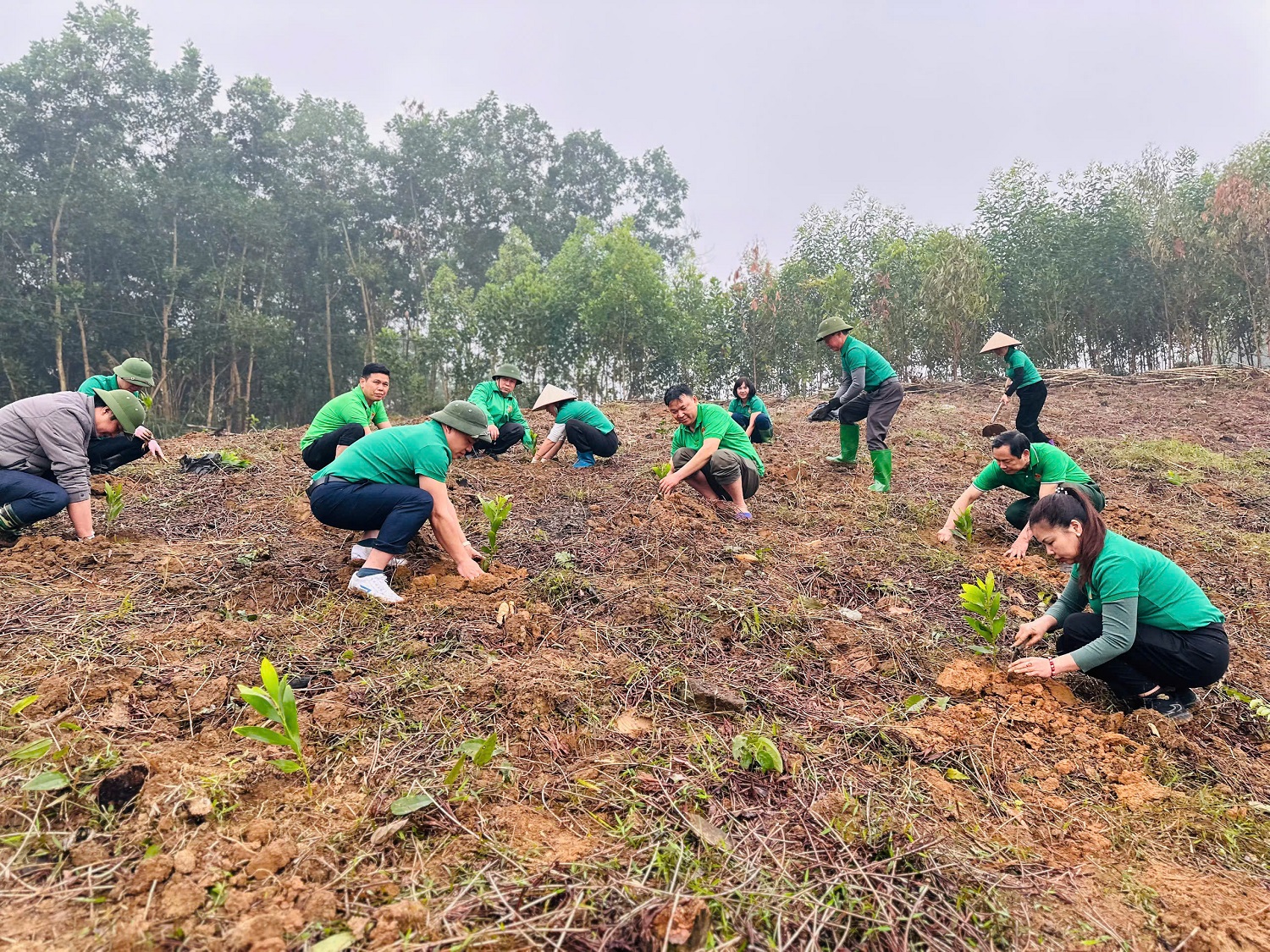 Hội Nông dân tỉnh tổ chức hưởng ứng Tết trồng cây “Đời đời nhớ ơn Bác Hồ” Xuân Ất Tỵ năm 2025 và phát động thi đua chào mừng Đại hội Đảng các cấp.