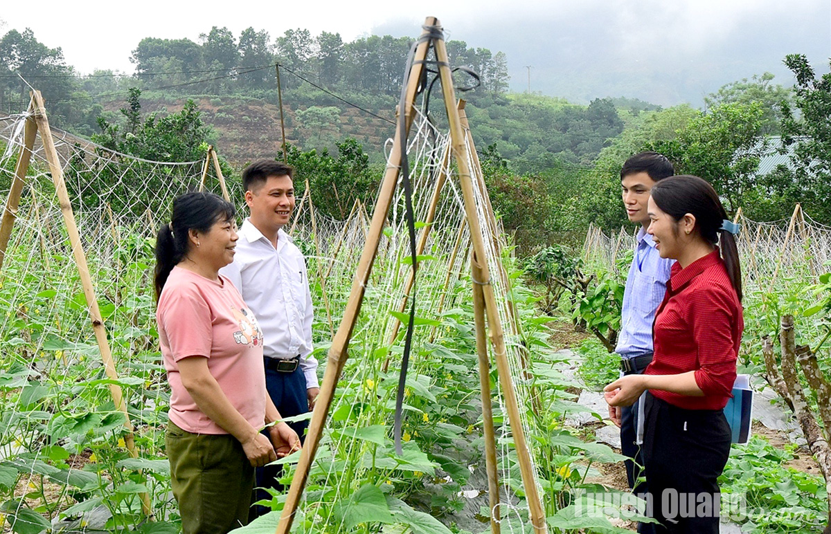 Làm gì để cấp xã thực sự mạnh?